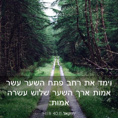 Picture 03 - יחזקאל 40:11 HEB - וימד את רחב פתח השער עשר - Bible Verse Picture