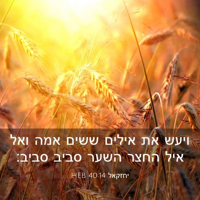 Picture 03 - יחזקאל 40:14 HEB - ויעש את אילים ששים אמה ואל - Bible Verse Picture