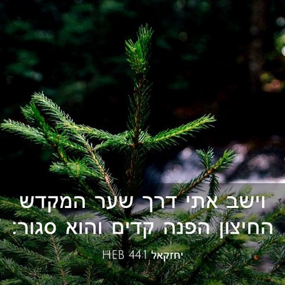 Picture 03 - יחזקאל 44:1 HEB - וישב אתי דרך שער המקדש - Bible Verse Picture