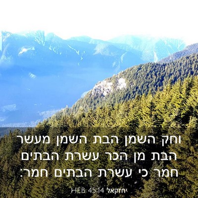 Picture 03 - יחזקאל 45:14 HEB - וחק השמן הבת השמן מעשר הבת - Bible Verse Picture