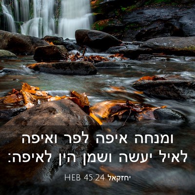 Picture 03 - יחזקאל 45:24 HEB - ומנחה איפה לפר ואיפה לאיל - Bible Verse Picture