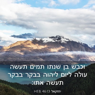 Picture 03 - יחזקאל 46:13 HEB - וכבש בן שנתו תמים תעשה עולה - Bible Verse Picture