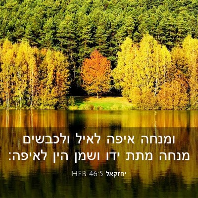 Picture 03 - יחזקאל 46:5 HEB - ומנחה איפה לאיל ולכבשים - Bible Verse Picture
