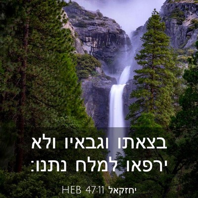 Picture 03 - יחזקאל 47:11 HEB - בצאתו וגבאיו ולא ירפאו - Bible Verse Picture
