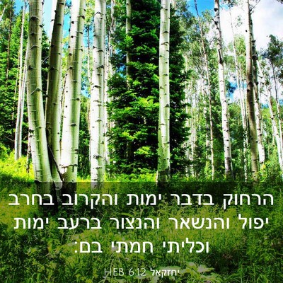 Picture 03 - יחזקאל 6:12 HEB - הרחוק בדבר ימות והקרוב - Bible Verse Picture