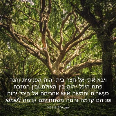 Picture 03 - יחזקאל 8:16 HEB - ויבא אתי אל חצר בית יהוה - Bible Verse Picture