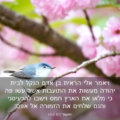Picture 03 - יחזקאל 8:17 HEB - ויאמר אלי הראית בן אדם הנקל - Bible Verse Picture