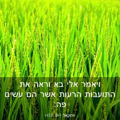 Picture 03 - יחזקאל 8:9 HEB - ויאמר אלי בא וראה את - Bible Verse Picture