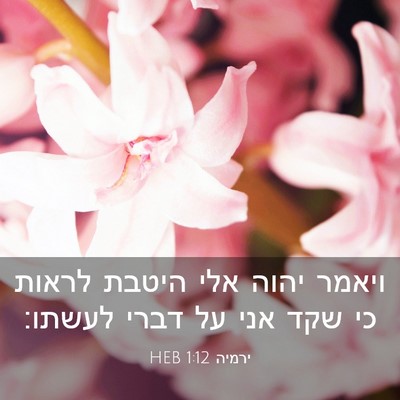 Picture 03 - ירמיה 1:12 HEB - ויאמר יהוה אלי היטבת לראות - Bible Verse Picture