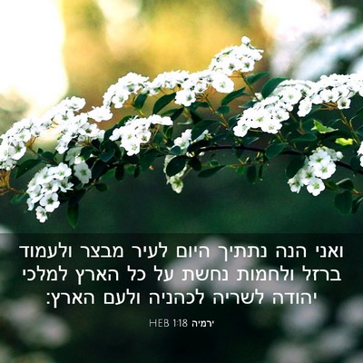 Picture 03 - ירמיה 1:18 HEB - ואני הנה נתתיך היום לעיר - Bible Verse Picture