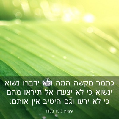Picture 03 - ירמיה 10:5 HEB - כתמר מקשה המה ולא ידברו - Bible Verse Picture