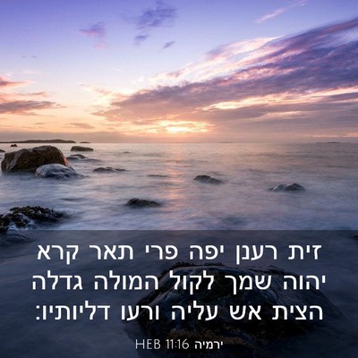 Picture 03 - ירמיה 11:16 HEB - זית רענן יפה פרי תאר קרא - Bible Verse Picture