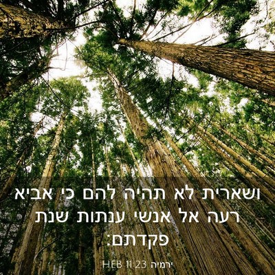 Picture 03 - ירמיה 11:23 HEB - ושארית לא תהיה להם כי אביא - Bible Verse Picture