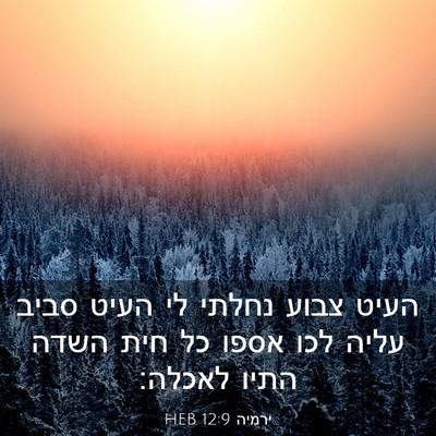 Picture 03 - ירמיה 12:9 HEB - העיט צבוע נחלתי לי העיט - Bible Verse Picture