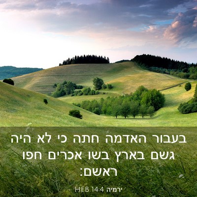 Picture 03 - ירמיה 14:4 HEB - בעבור האדמה חתה כי לא היה - Bible Verse Picture