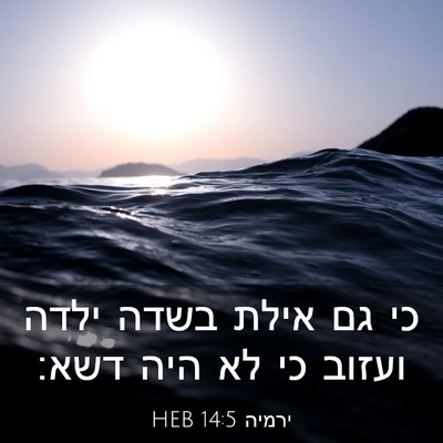 Picture 03 - ירמיה 14:5 HEB - כי גם אילת בשדה ילדה ועזוב - Bible Verse Picture