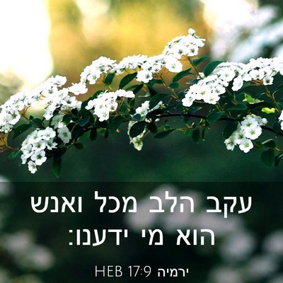 Picture 03 - ירמיה 17:9 HEB - עקב הלב מכל ואנש הוא מי - Bible Verse Picture