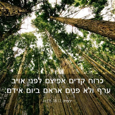 Picture 03 - ירמיה 18:17 HEB - כרוח קדים אפיצם לפני אויב - Bible Verse Picture