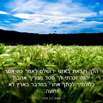 Picture 03 - ירמיה 2:2 HEB - הלך וקראת באזני ירושלם - Bible Verse Picture