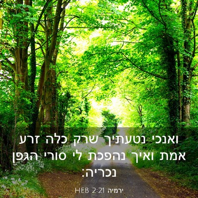 Picture 03 - ירמיה 2:21 HEB - ואנכי נטעתיך שרק כלה זרע - Bible Verse Picture