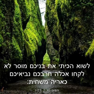 Picture 03 - ירמיה 2:30 HEB - לשוא הכיתי את בניכם מוסר לא - Bible Verse Picture