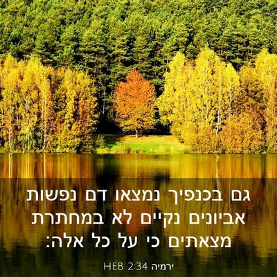 Picture 03 - ירמיה 2:34 HEB - גם בכנפיך נמצאו דם נפשות - Bible Verse Picture