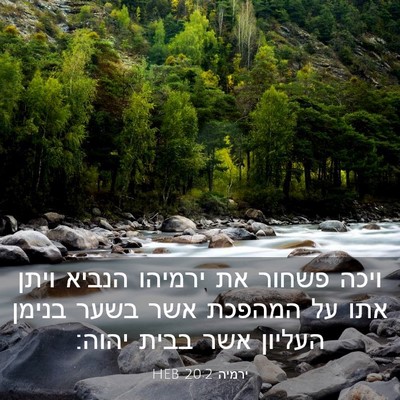 Picture 03 - ירמיה 20:2 HEB - ויכה פשחור את ירמיהו הנביא - Bible Verse Picture