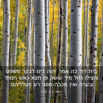 Picture 03 - ירמיה 21:12 HEB - בית דוד כה אמר יהוה דינו - Bible Verse Picture