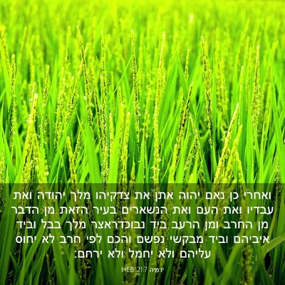 Picture 03 - ירמיה 21:7 HEB - ואחרי כן נאם יהוה אתן את - Bible Verse Picture