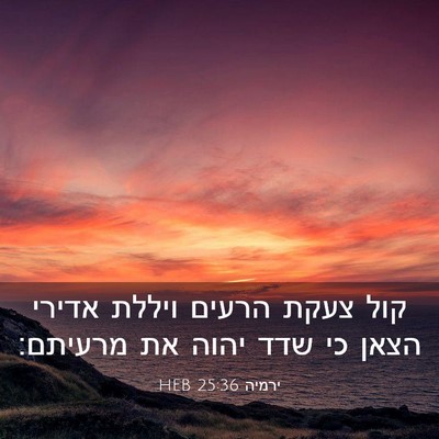 Picture 03 - ירמיה 25:36 HEB - קול צעקת הרעים ויללת אדירי - Bible Verse Picture