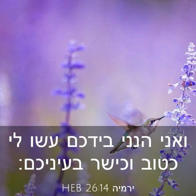 Picture 03 - ירמיה 26:14 HEB - ואני הנני בידכם עשו לי כטוב - Bible Verse Picture