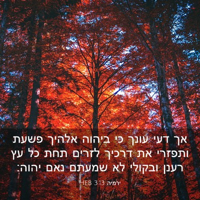 Picture 03 - ירמיה 3:13 HEB - אך דעי עונך כי ביהוה אלהיך - Bible Verse Picture