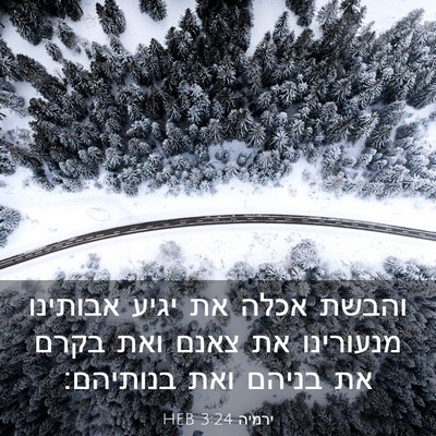 Picture 03 - ירמיה 3:24 HEB - והבשת אכלה את יגיע אבותינו - Bible Verse Picture