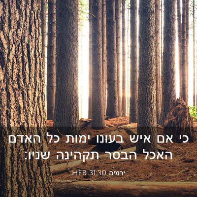 Picture 03 - ירמיה 31:30 HEB - כי אם איש בעונו ימות כל - Bible Verse Picture