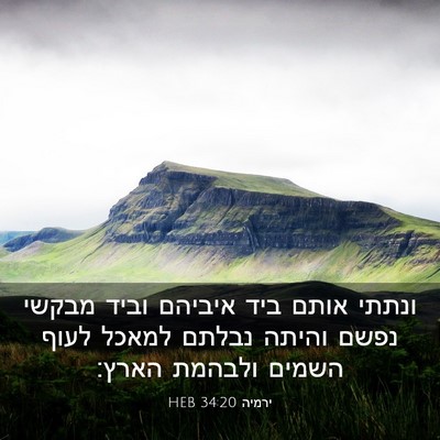 Picture 03 - ירמיה 34:20 HEB - ונתתי אותם ביד איביהם וביד - Bible Verse Picture