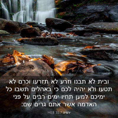 Picture 03 - ירמיה 35:7 HEB - ובית לא תבנו וזרע לא תזרעו - Bible Verse Picture