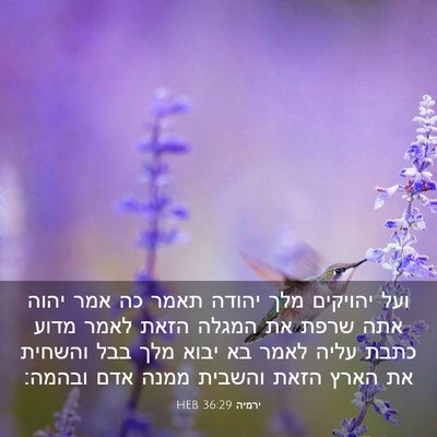 Picture 03 - ירמיה 36:29 HEB - ועל יהויקים מלך יהודה תאמר - Bible Verse Picture