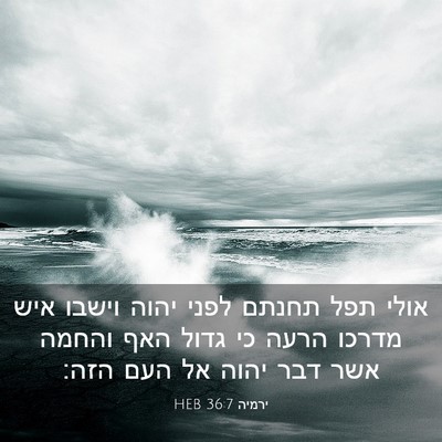 Picture 03 - ירמיה 36:7 HEB - אולי תפל תחנתם לפני יהוה - Bible Verse Picture