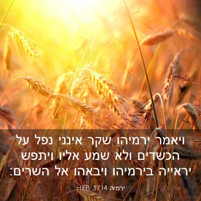 Picture 03 - ירמיה 37:14 HEB - ויאמר ירמיהו שקר אינני נפל - Bible Verse Picture
