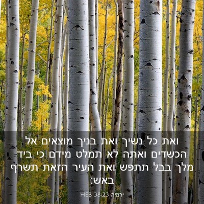 Picture 03 - ירמיה 38:23 HEB - ואת כל נשיך ואת בניך מוצאים - Bible Verse Picture