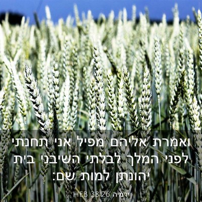 Picture 03 - ירמיה 38:26 HEB - ואמרת אליהם מפיל אני תחנתי - Bible Verse Picture