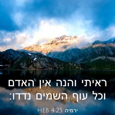 Picture 03 - ירמיה 4:25 HEB - ראיתי והנה אין האדם וכל עוף - Bible Verse Picture