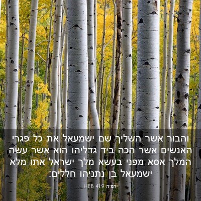 Picture 03 - ירמיה 41:9 HEB - והבור אשר השליך שם ישמעאל - Bible Verse Picture