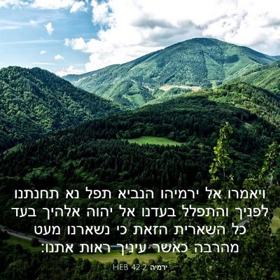 Picture 03 - ירמיה 42:2 HEB - ויאמרו אל ירמיהו הנביא תפל - Bible Verse Picture