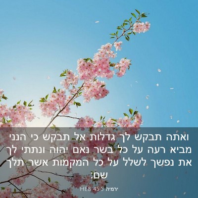 Picture 03 - ירמיה 45:5 HEB - ואתה תבקש לך גדלות אל תבקש - Bible Verse Picture