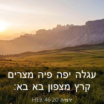 Picture 03 - ירמיה 46:20 HEB - עגלה יפה פיה מצרים קרץ - Bible Verse Picture