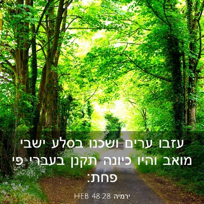 Picture 03 - ירמיה 48:28 HEB - עזבו ערים ושכנו בסלע ישבי - Bible Verse Picture