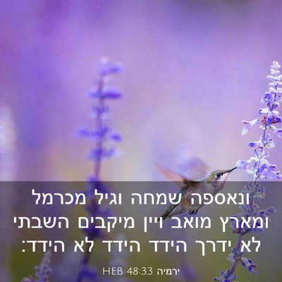 Picture 03 - ירמיה 48:33 HEB - ונאספה שמחה וגיל מכרמל - Bible Verse Picture