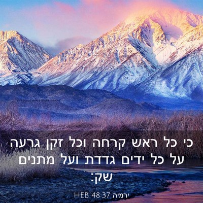 Picture 03 - ירמיה 48:37 HEB - כי כל ראש קרחה וכל זקן גרעה - Bible Verse Picture
