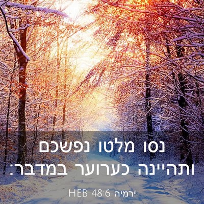 Picture 03 - ירמיה 48:6 HEB - נסו מלטו נפשכם ותהיינה - Bible Verse Picture